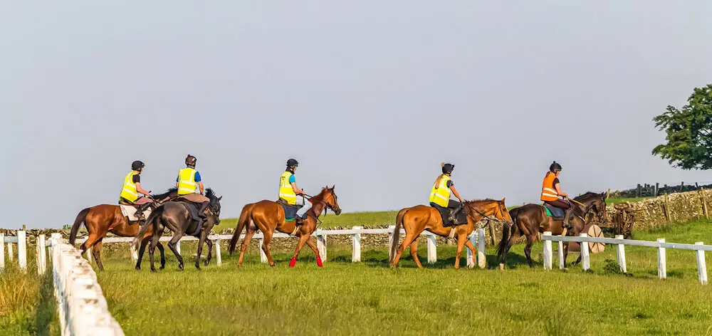 Coltherd Racing Club