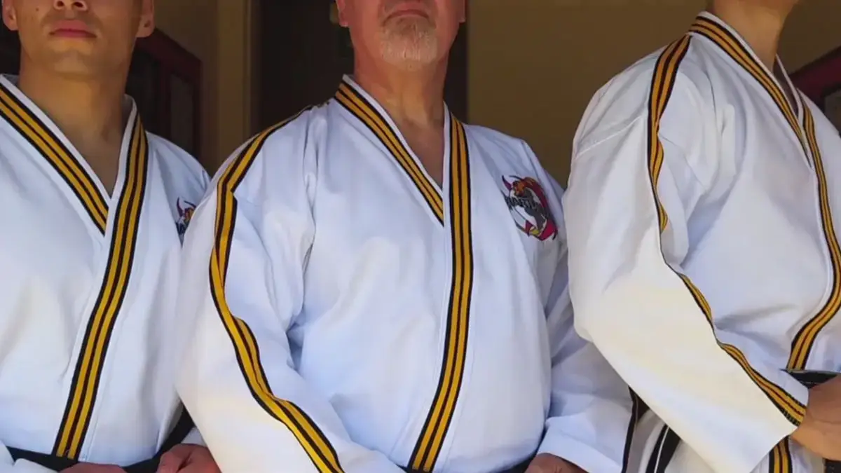 Martial Art World