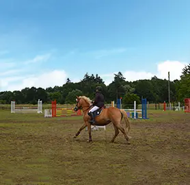 CENTRE EQUESTRE DE BEAUGENCY