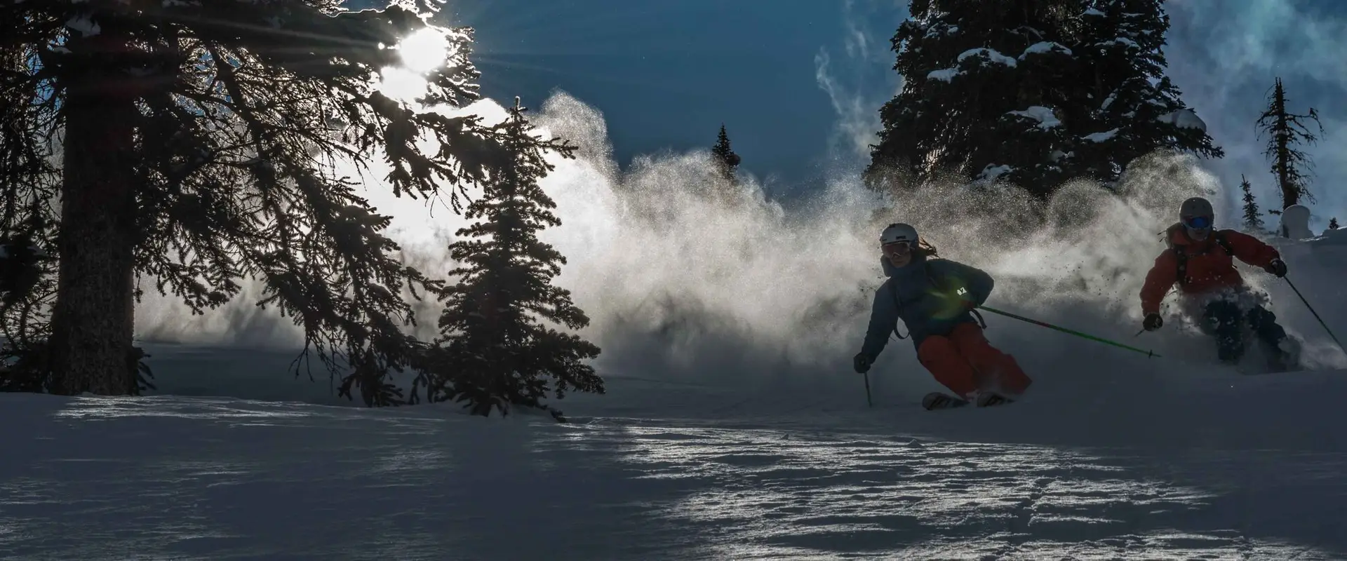 Adrenalin Descents Backcountry Ski Guides