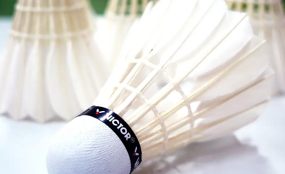 Gloucester Stringbreakers Badminton Club