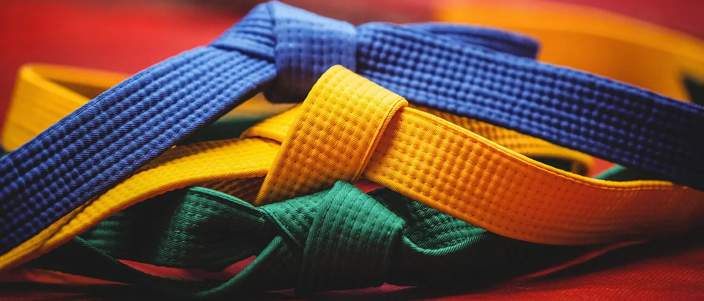 Dojo Emile Moiroud