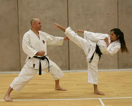 Tora Kodo Karate Kai