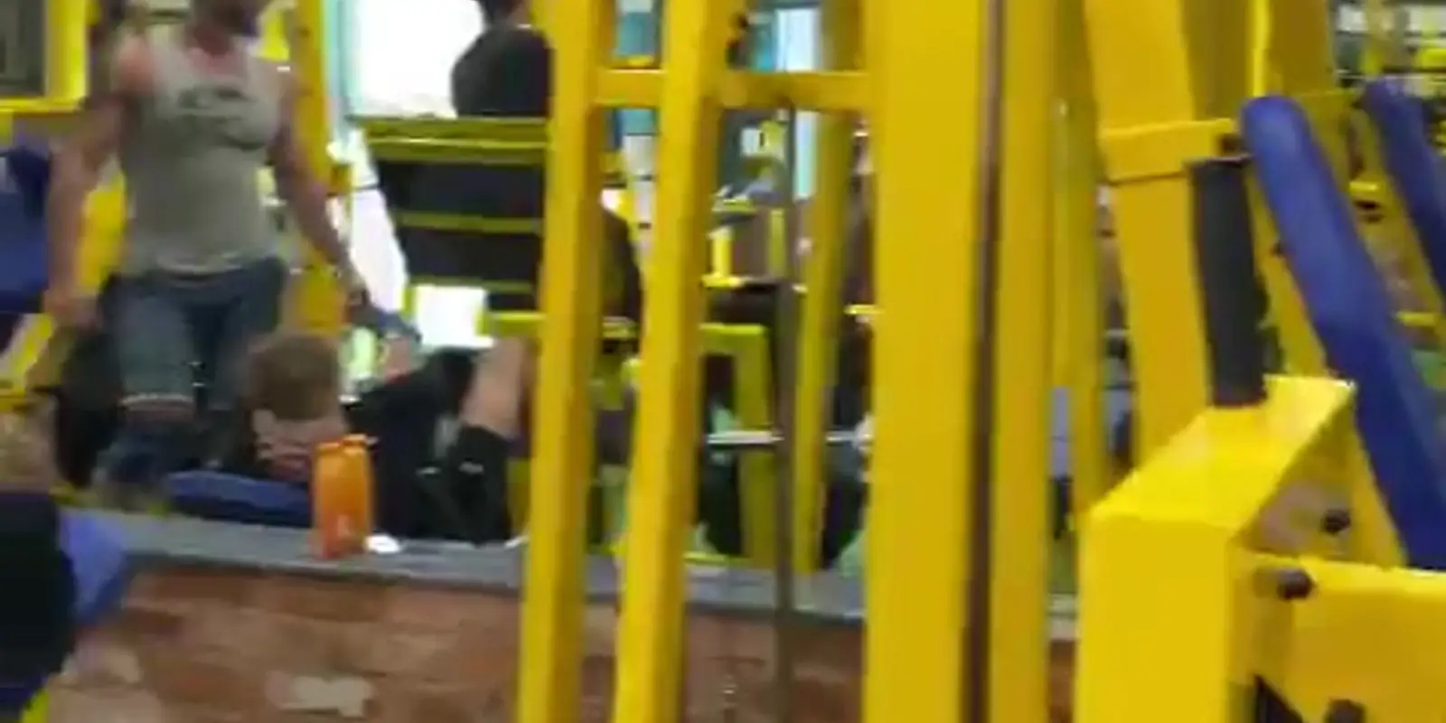 Pro-fitness