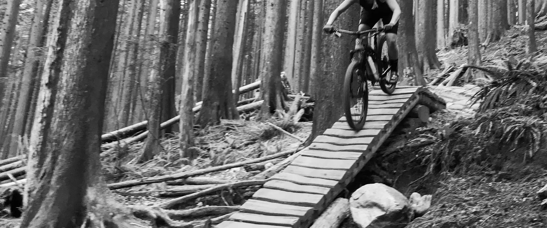 Day Time Cycling