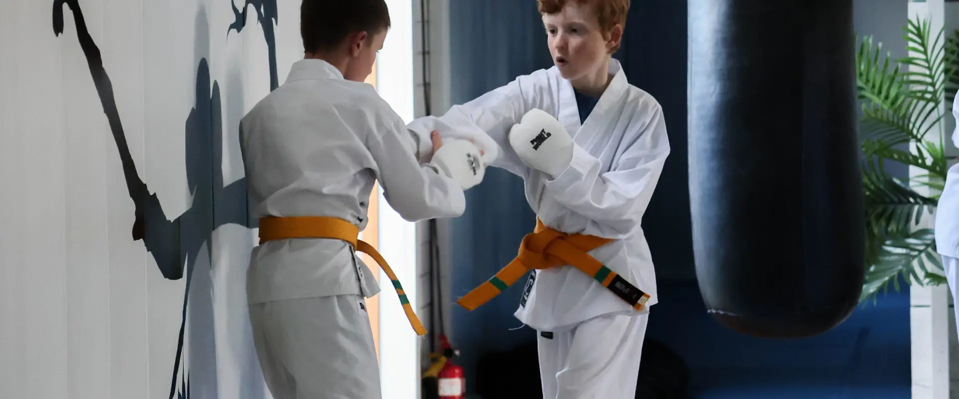 Hall of Martial Arts Taumarunui
