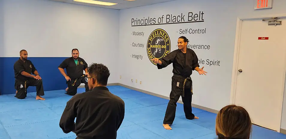 Wellness Martial Arts