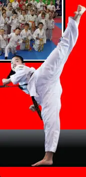Caheragh Taekwon-Do Club