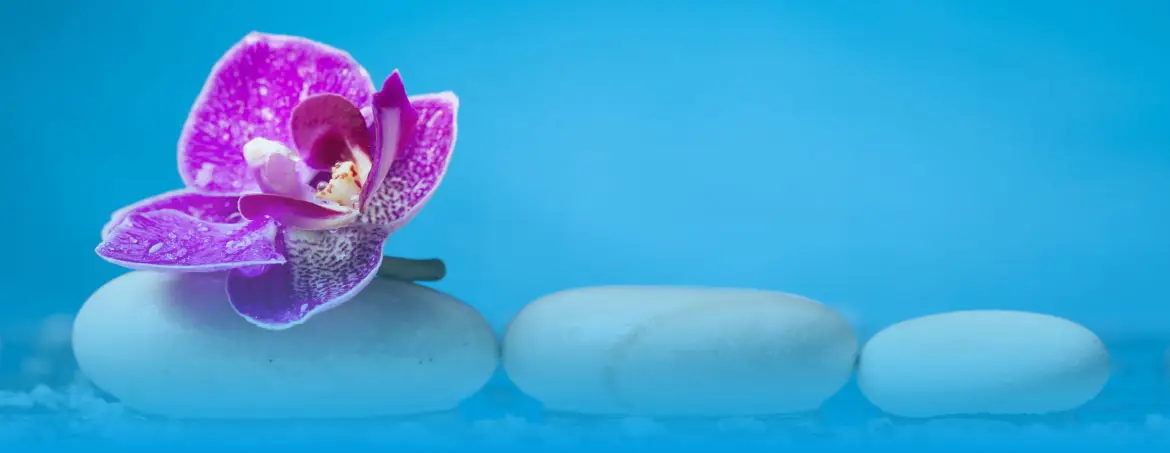 Woodbridge Complementary Health Centre