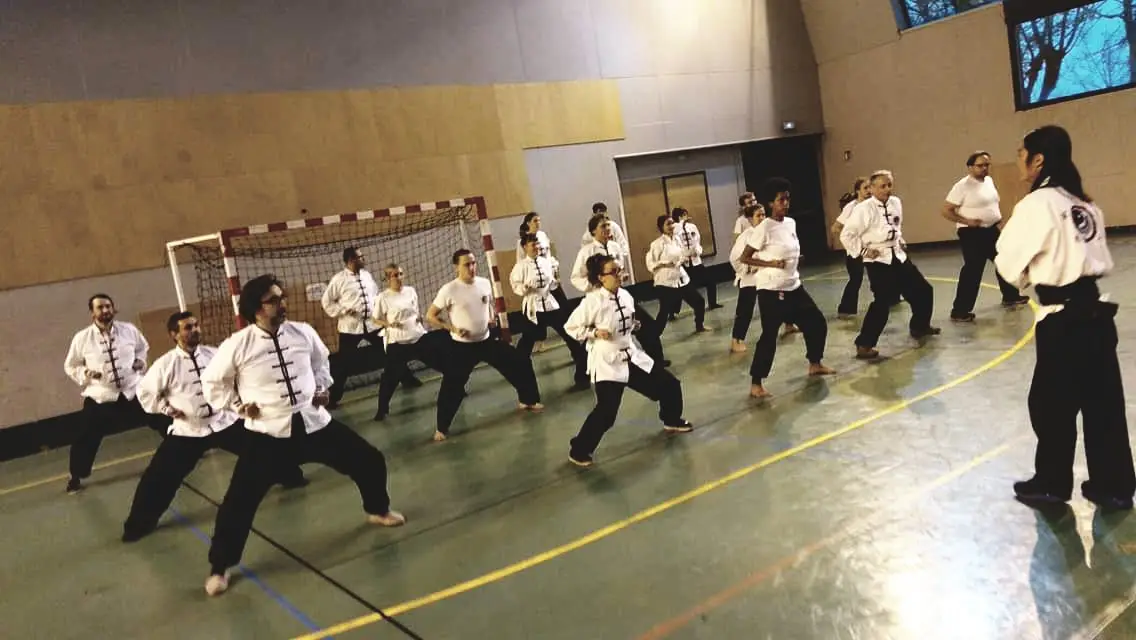 School Martial Arts Hong Gia Vo Dao