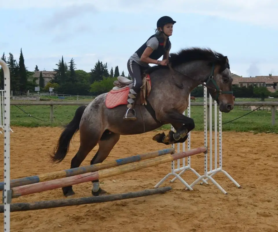 Centre Equestre Mejannes le Clap