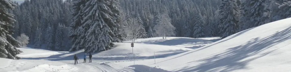 Ski School Nordique De La Vattay