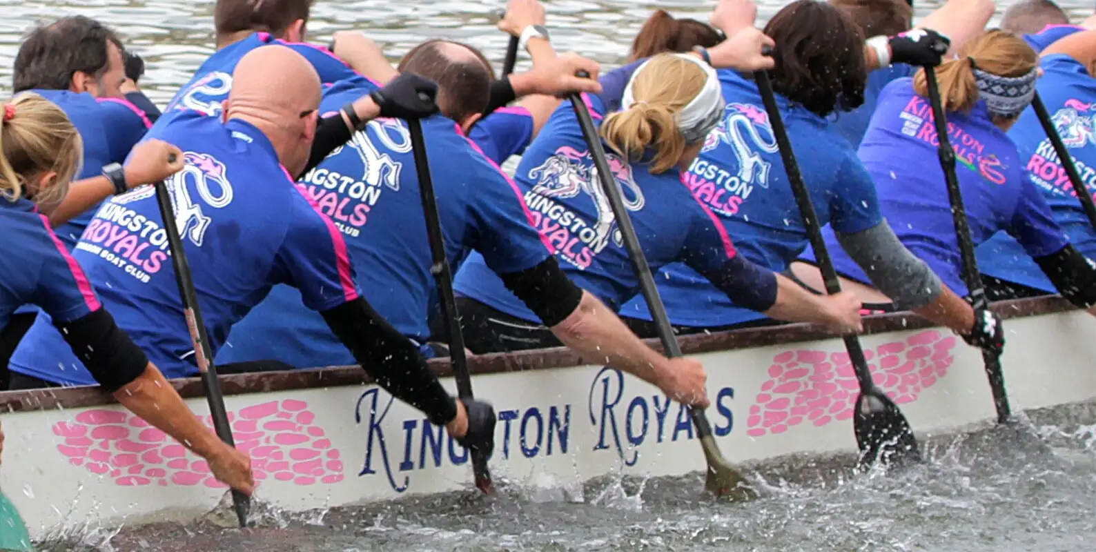 Kingston Royals Dragon Boat Club