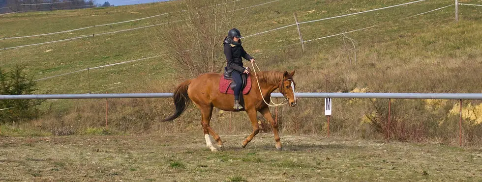 Center Equestrian Ethologique Equimotion Julie Cramer