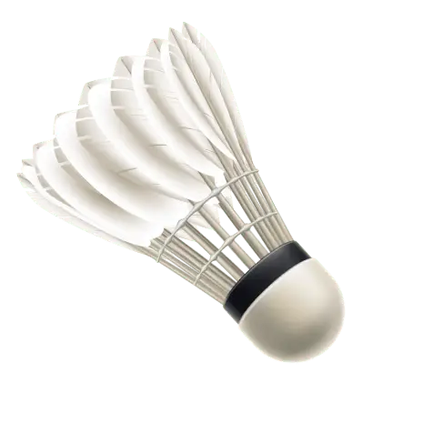 Padukone Sports Management - Badminton Academy in Noida Sector 21