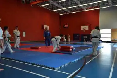 Dragon Aiki Ju Jutsu
