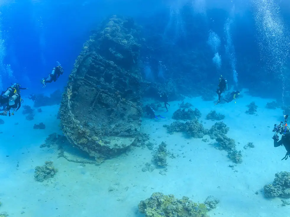 Sapphire Diving Padi Hyères
