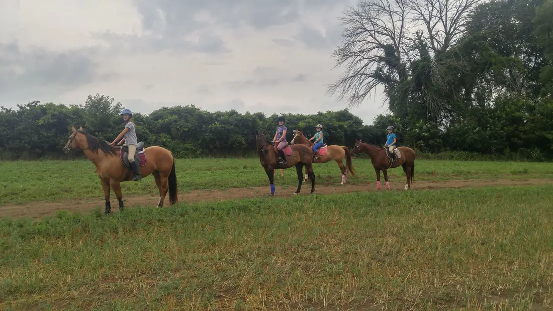 Great Lakes Stables