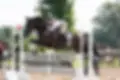 Camberwell Stables