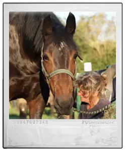 Little Pasture Trekking Centre