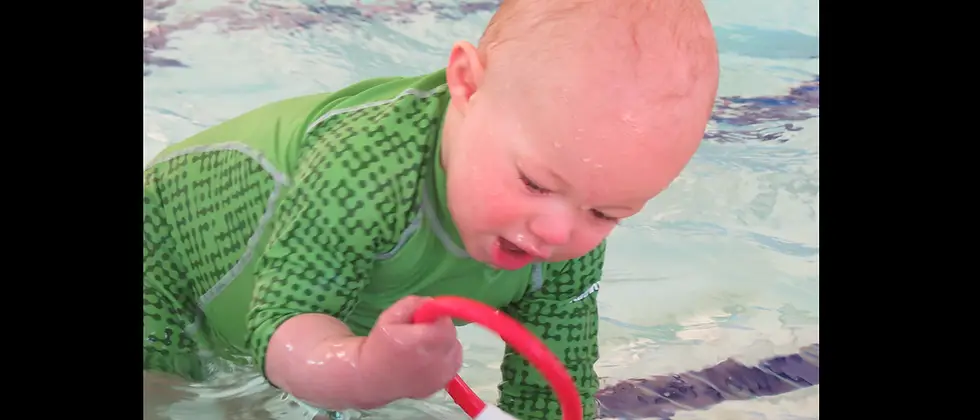 Orca Swim School