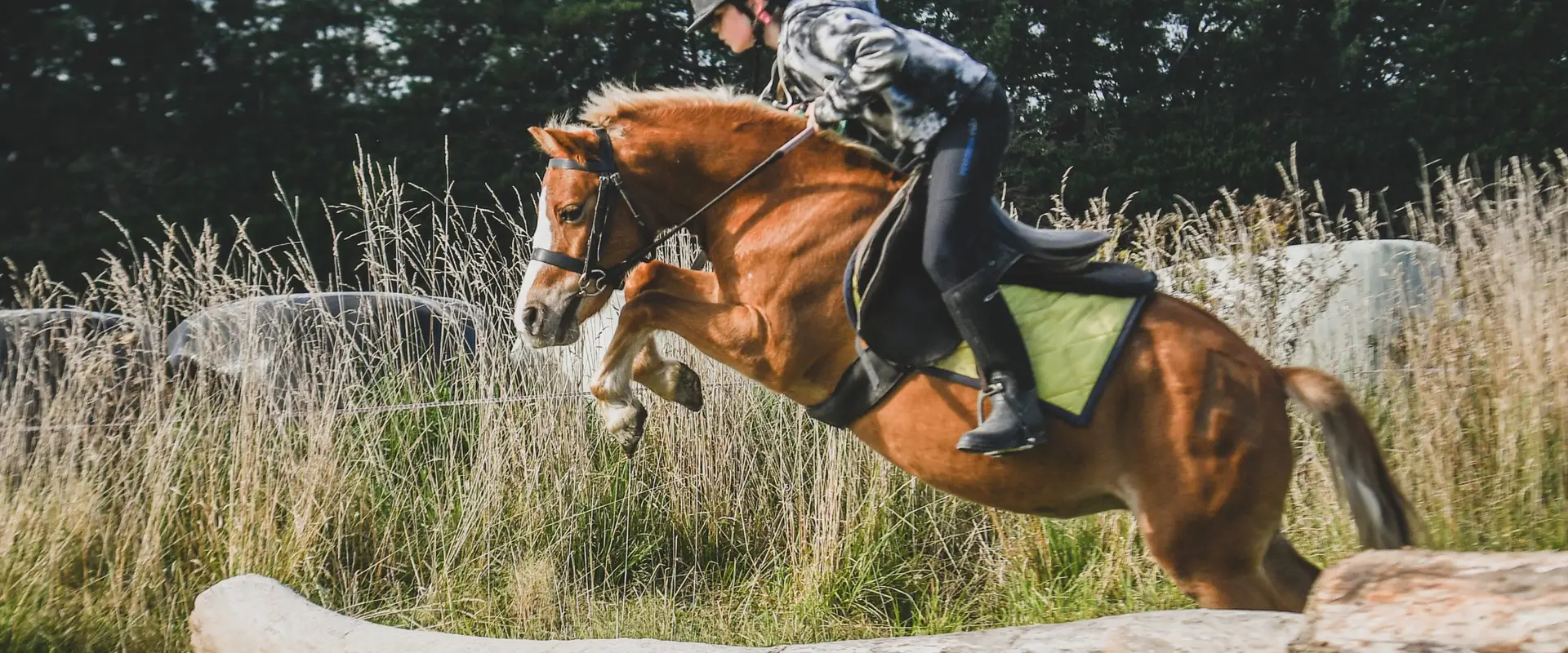 Ardlussa Equine
