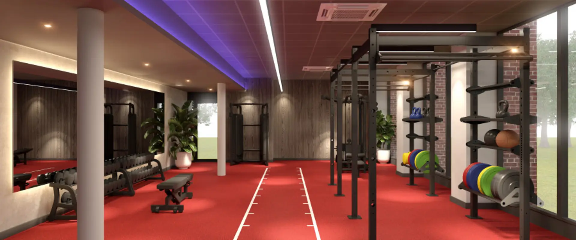 Lifestyle Fitness Brierley Hill - Thorns Academy