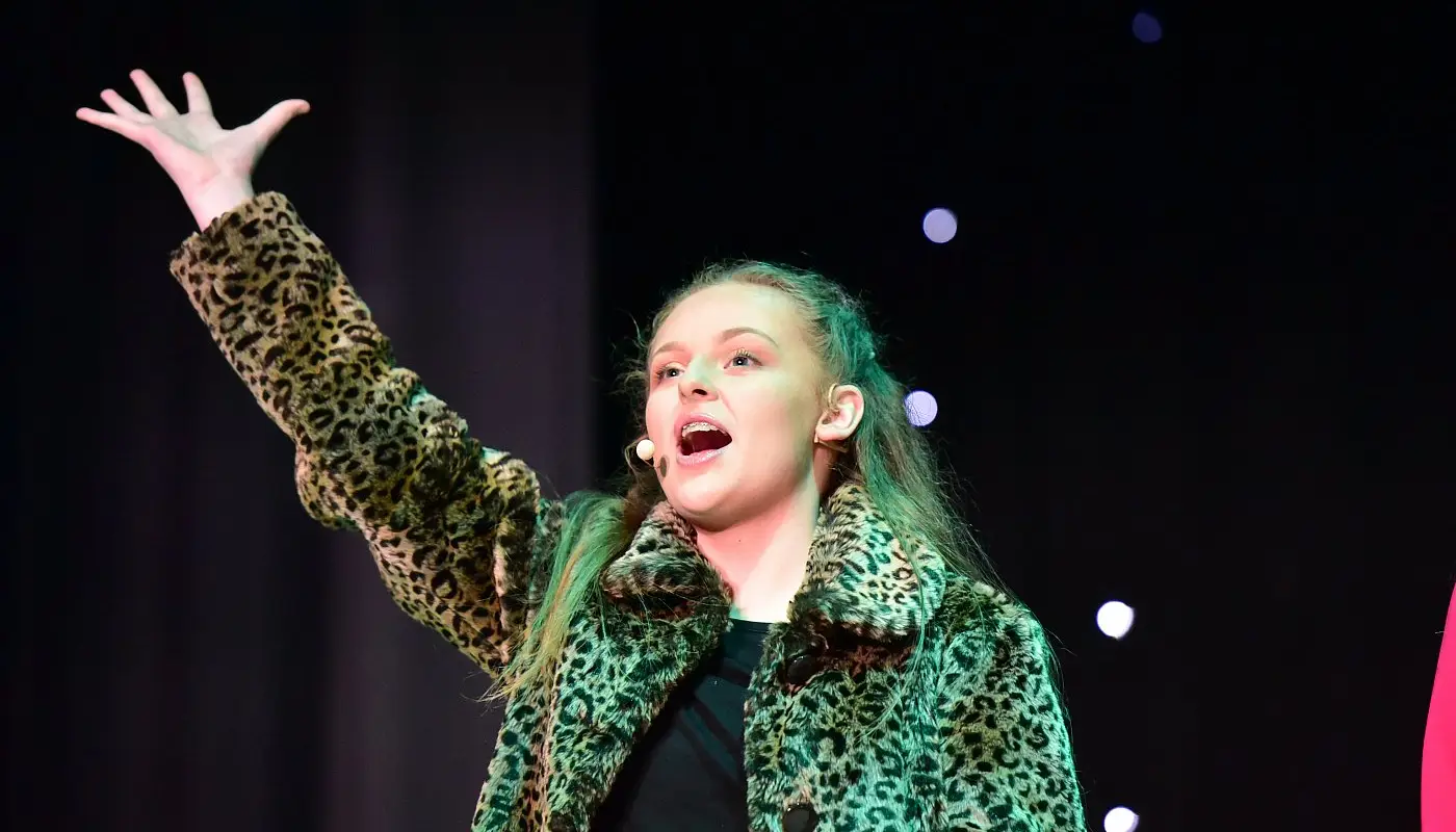 The Stage Academy