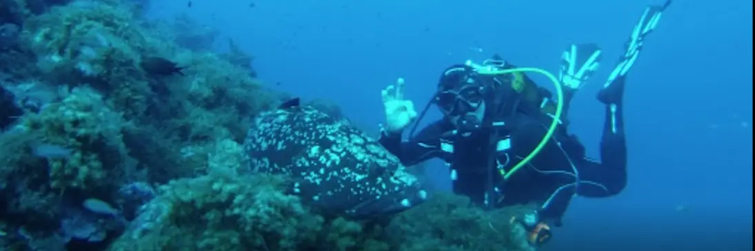 Ecole de plongée subaquatique Le Coelacanthe