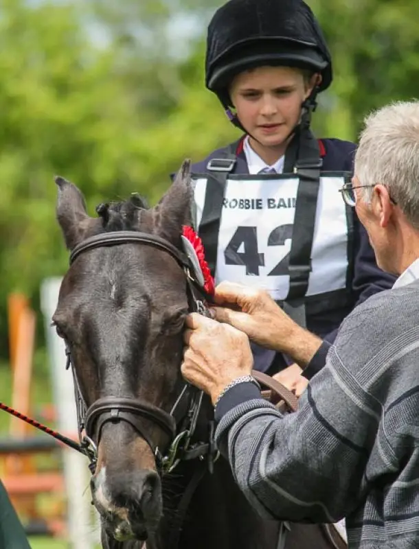 Irish Pony Club