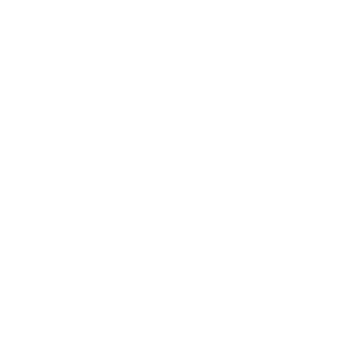 The Body Factory GYM