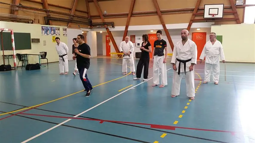 Karate Shotokan