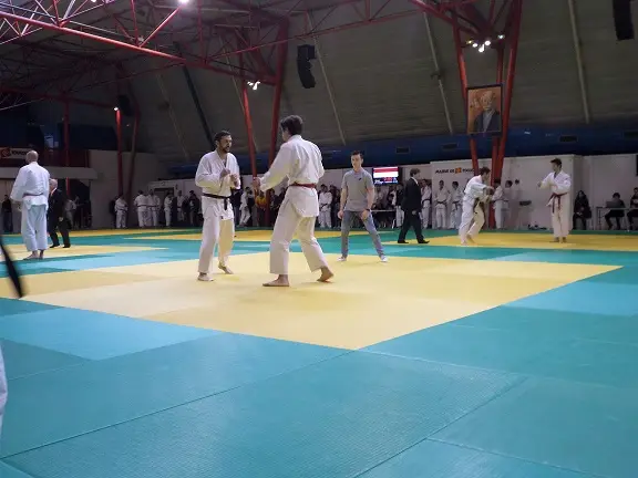 Judo Les Lions De Bruguières