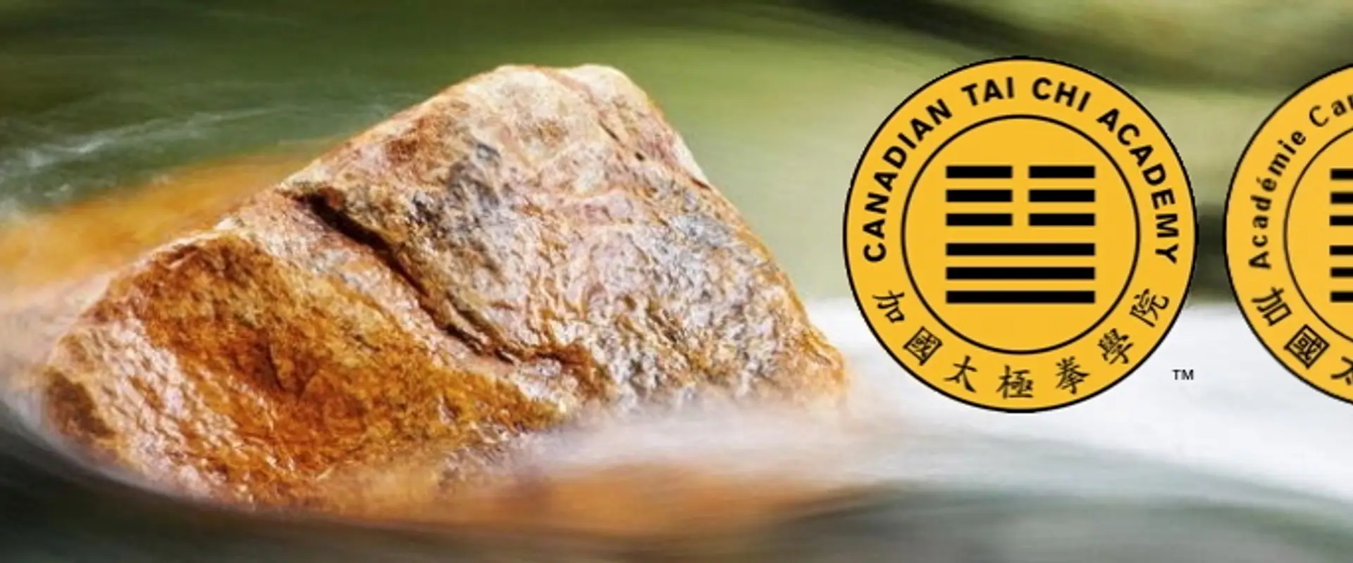 Canadian Tai Chi Academy - Chatham