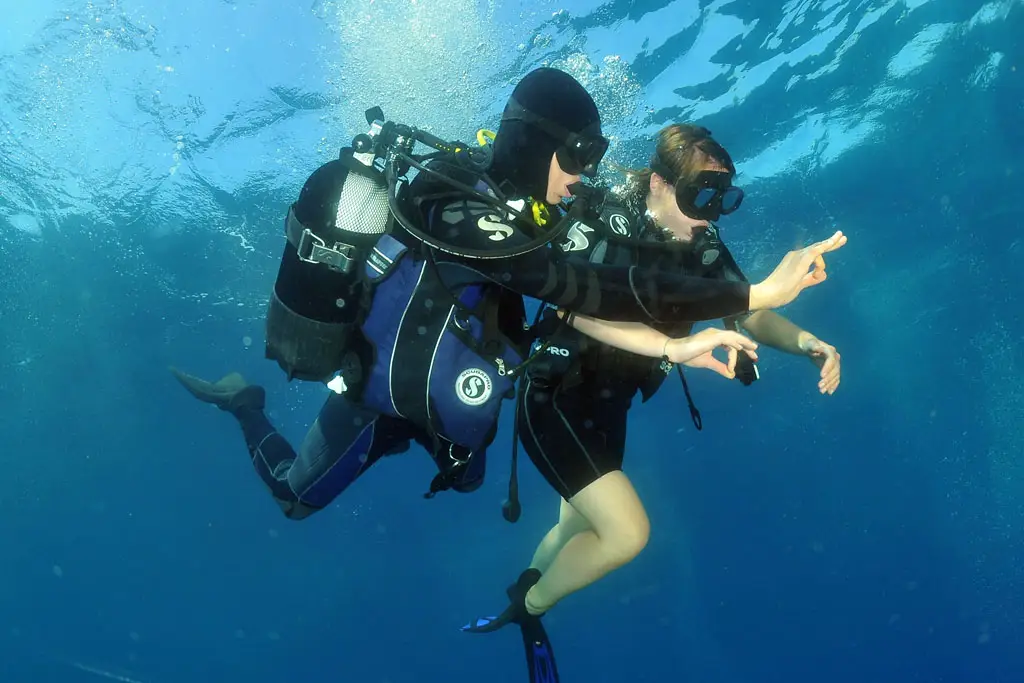 Easy Dive