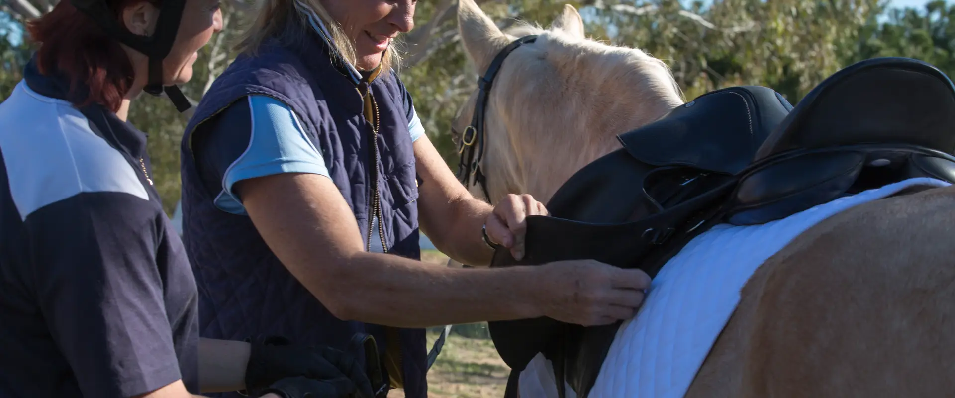Arandth Performance Horses