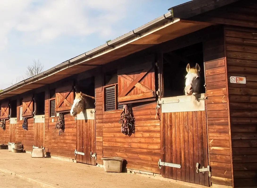 Mells Hill Farm