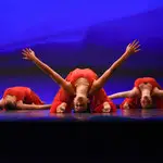 Dance School Khoreia