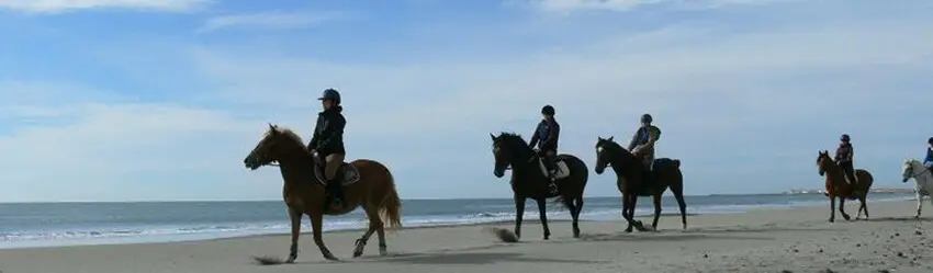 PONEY AVENTURE