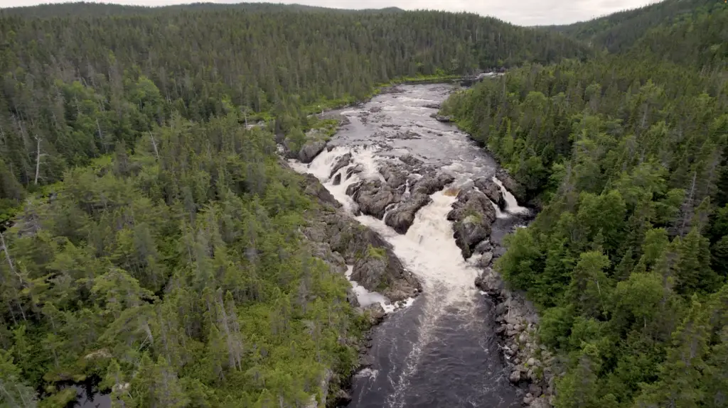 Atlantic Salmon Federation