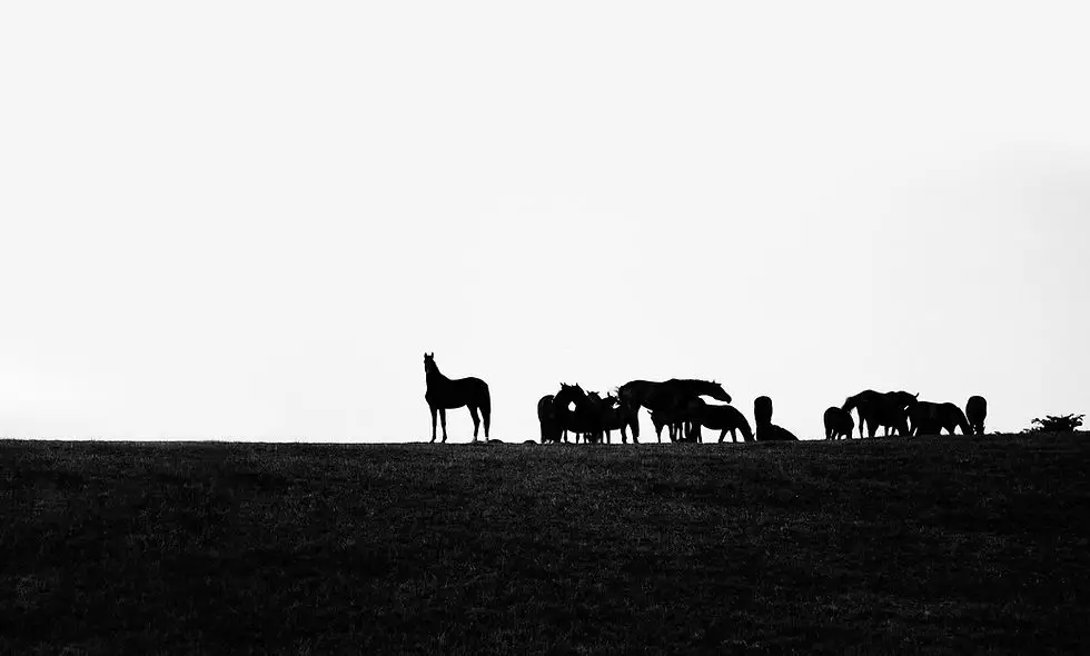 TACK-n-THINGS INC