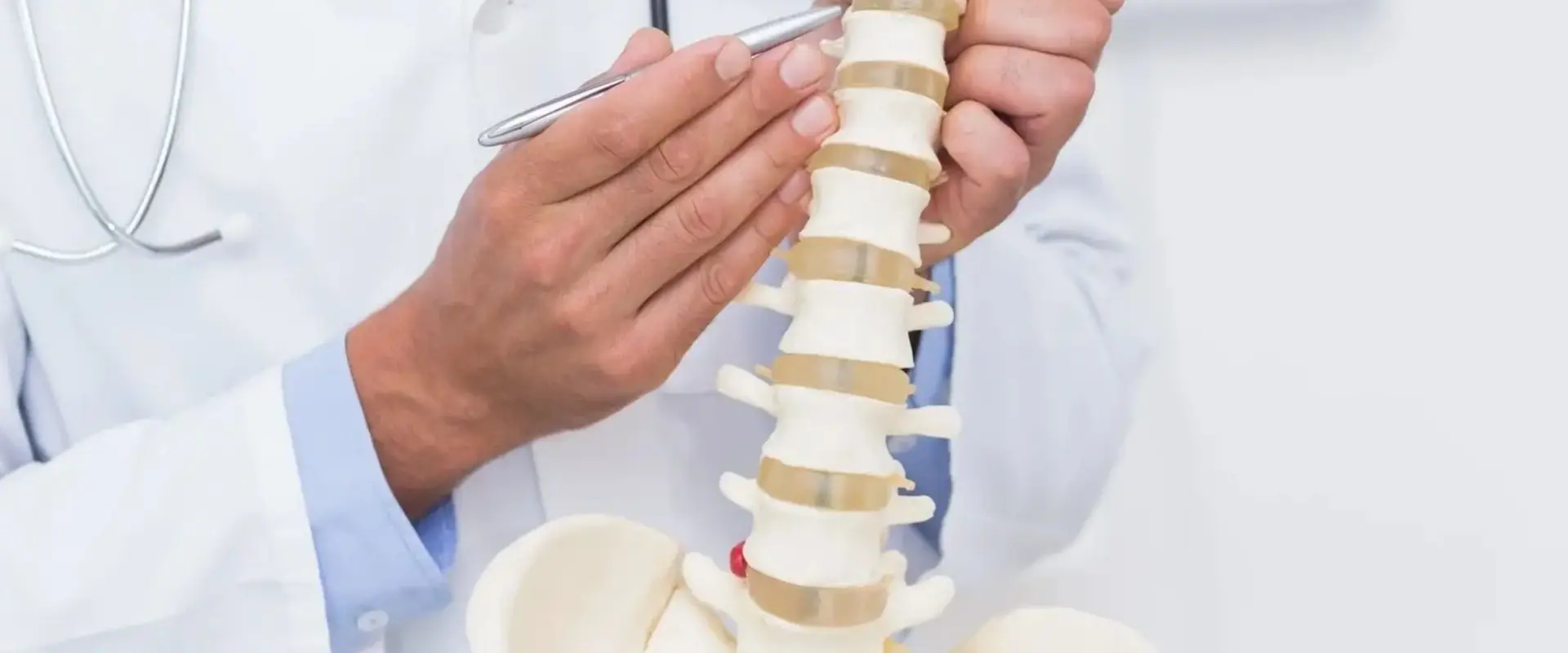Chiropractic Wellness Centre - North York