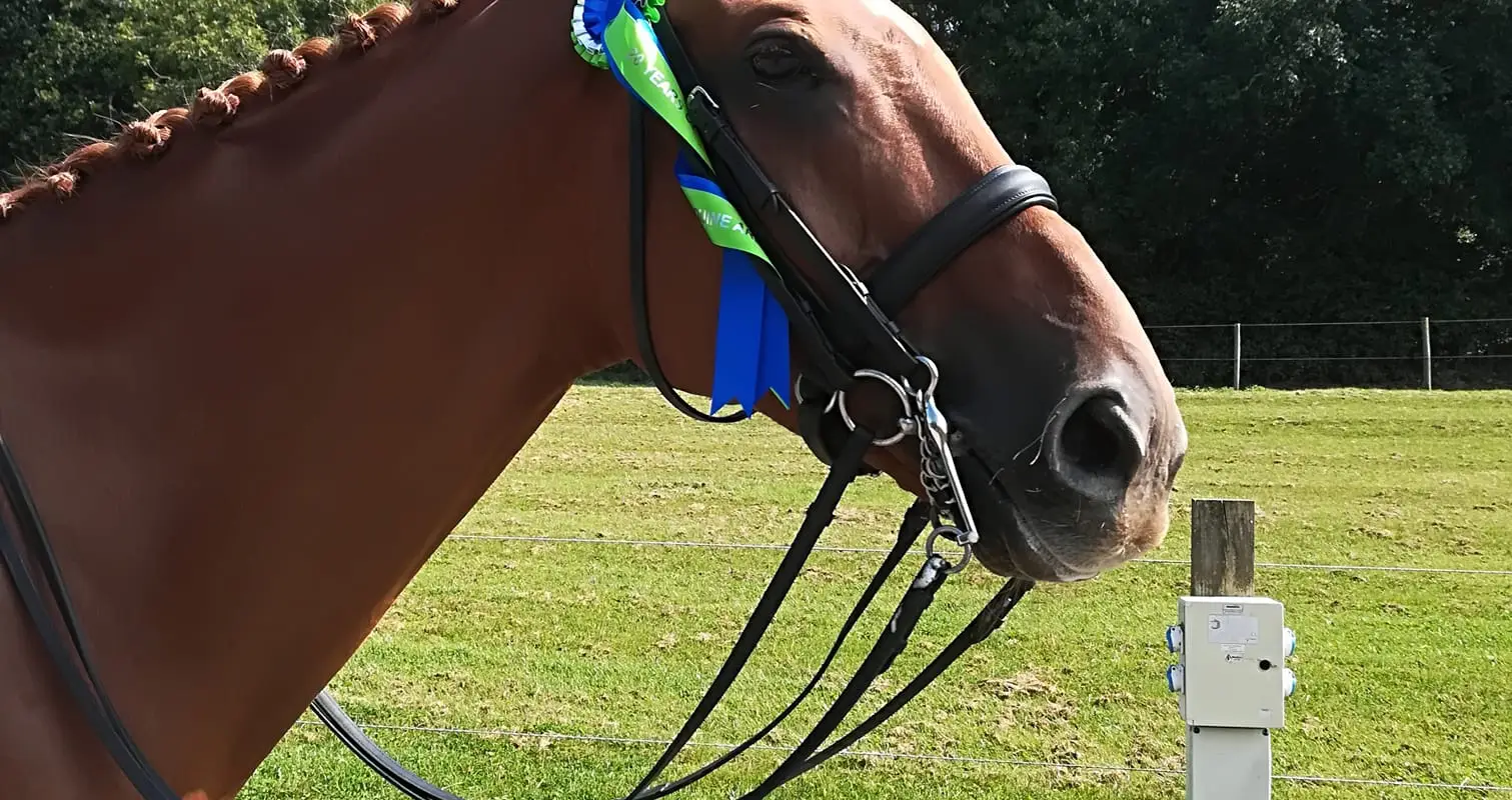 Seechem Equestrian Centre
