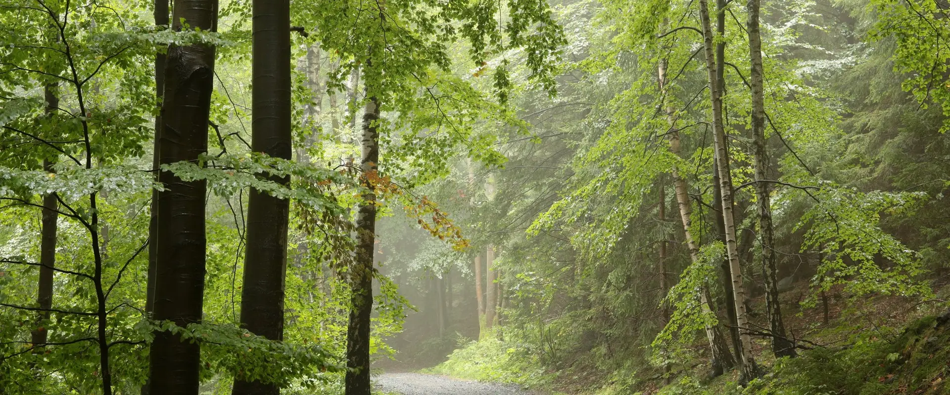 Unfolding Path Yoga and Thai Massage