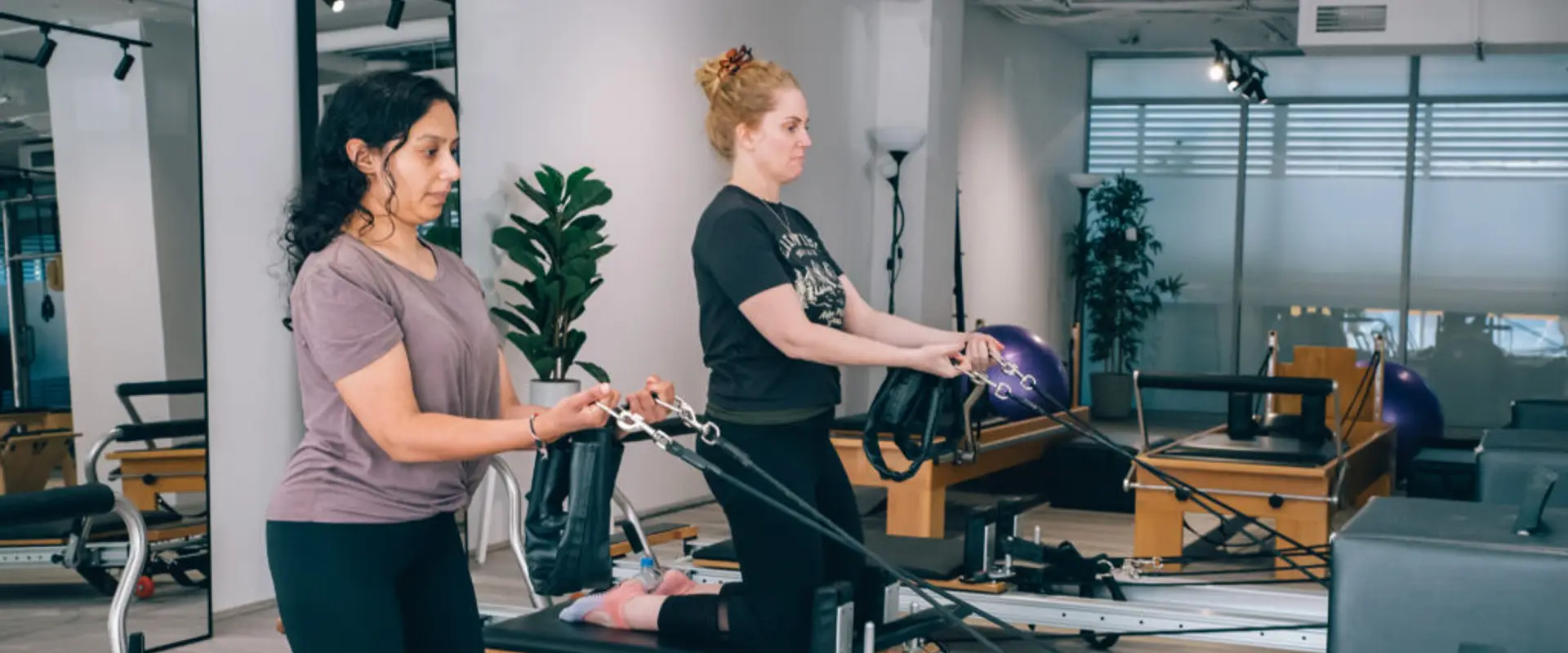 Align Studios