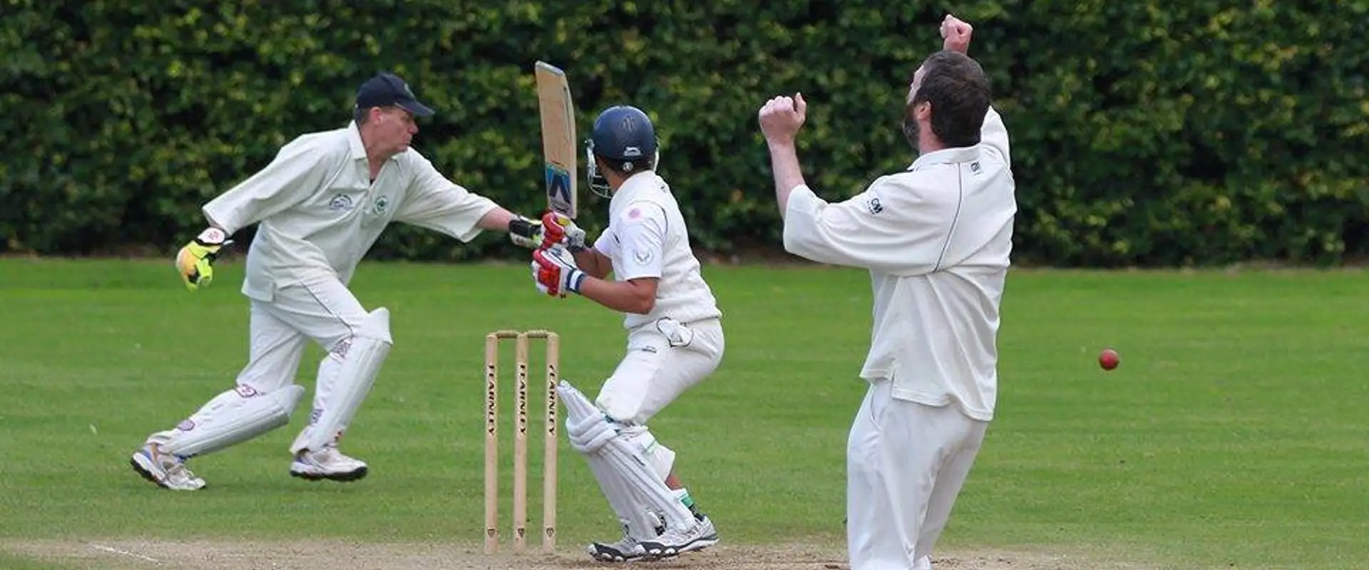 Stonehaven Thistle Cricket Club, Mineralwell Park