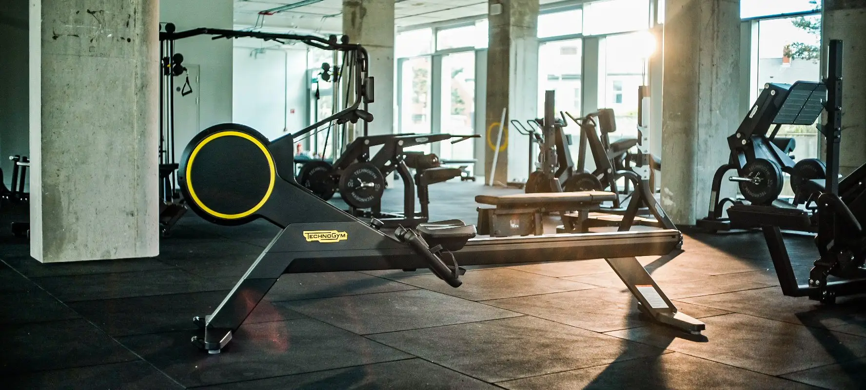 Fianna Gyms