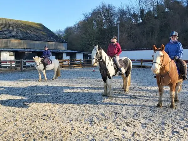Whiteleaf Stables
