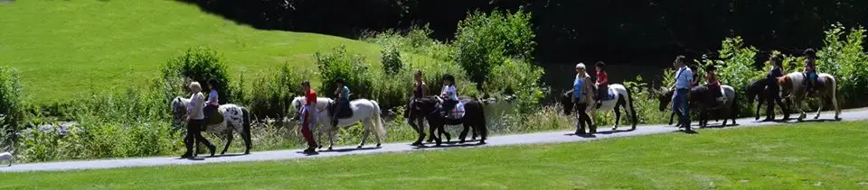 PONEY CLUB DE VILLENEUVE D ASCQ