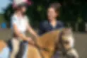 Coombe Stables Ltd - Horse riding in the New Forest